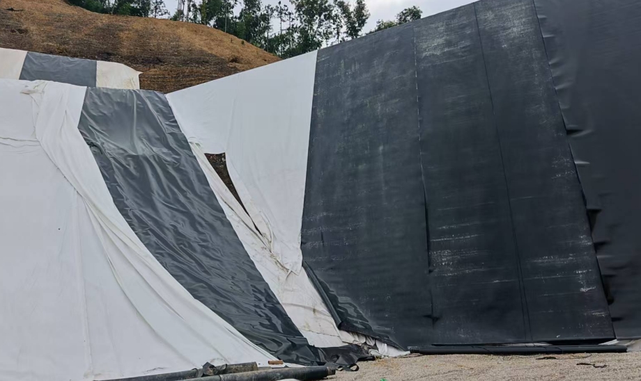 2025��������������ҵ���չ����!