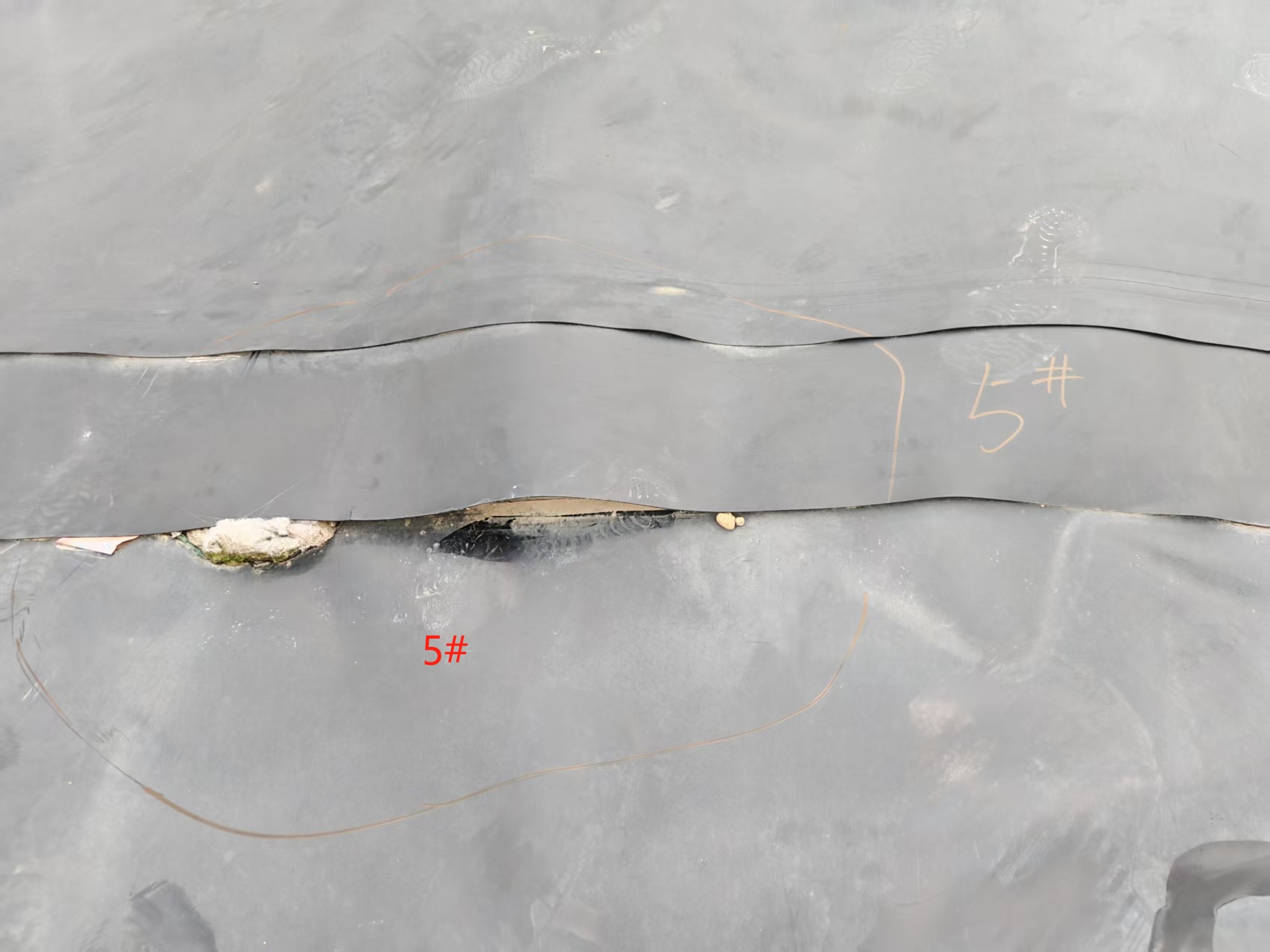 �������񳡻�����Ⱦ����ָ�ϣ�