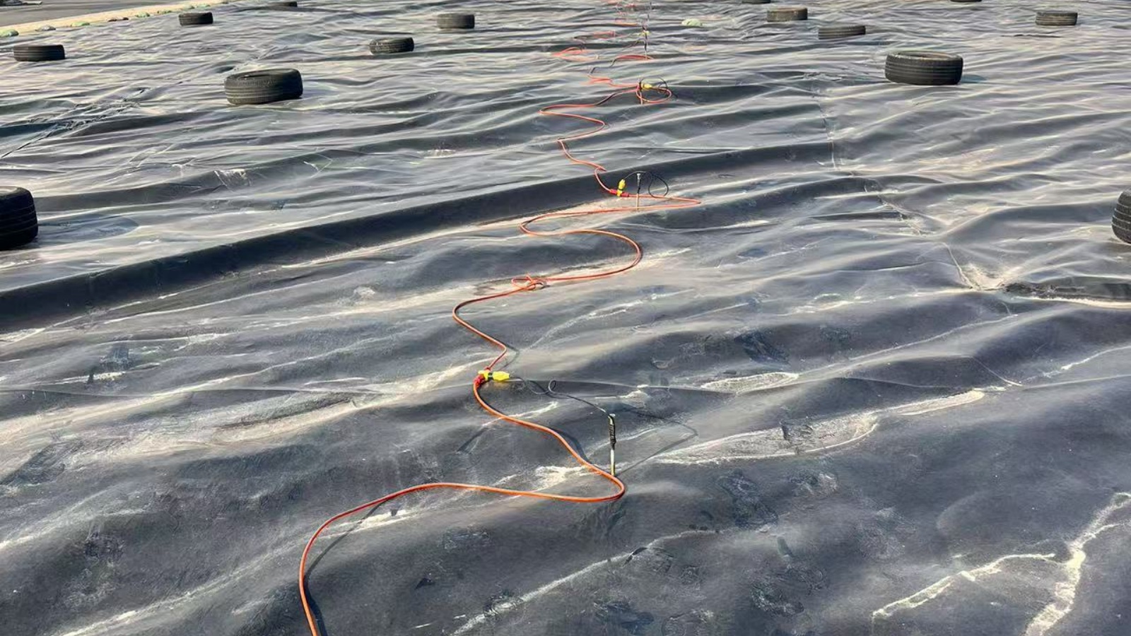 ����ĳ���񳡽�����Ⱦ��Χ̽��