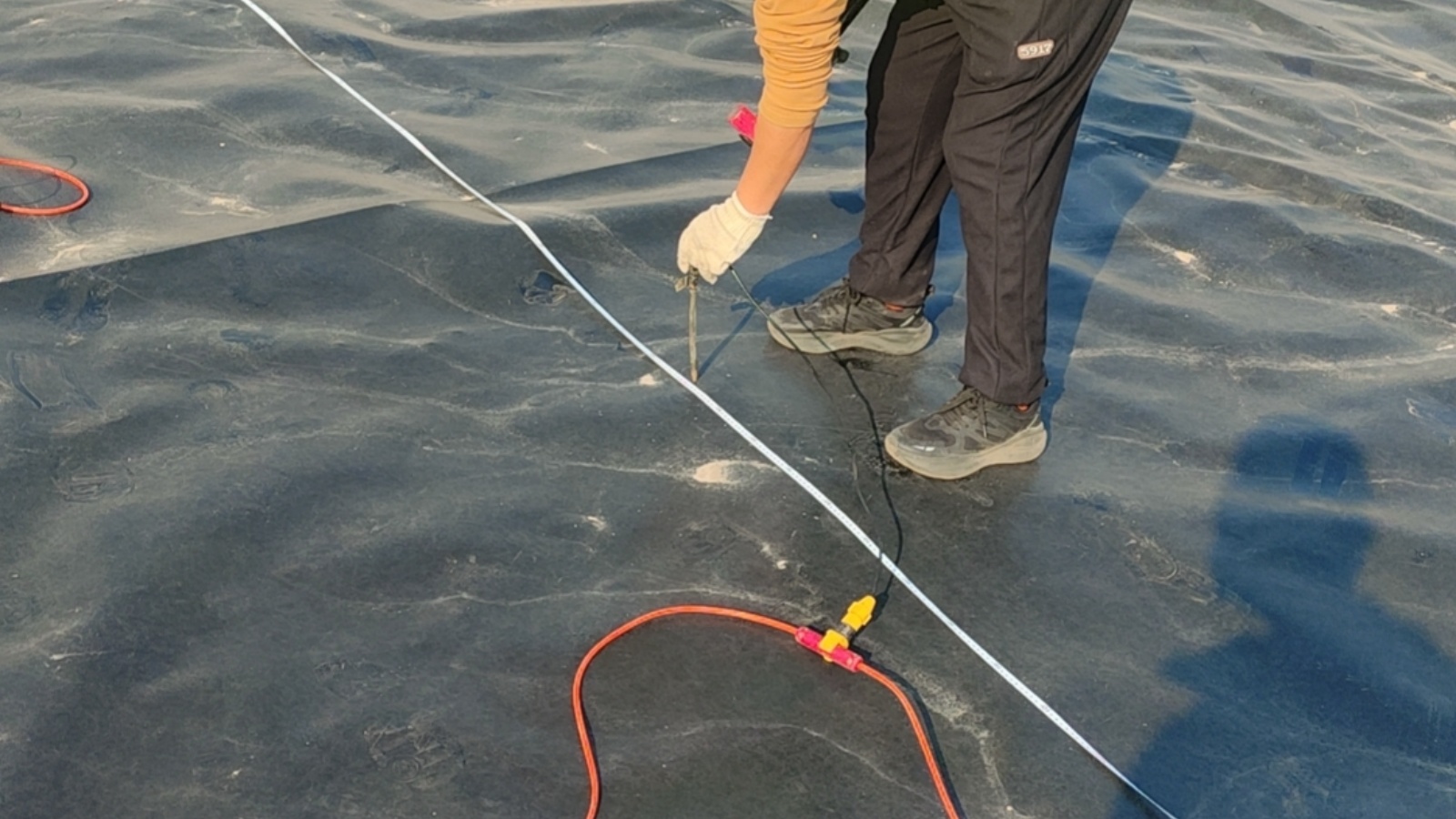 ����ĳ���񳡽�����Ⱦ��Χ̽��