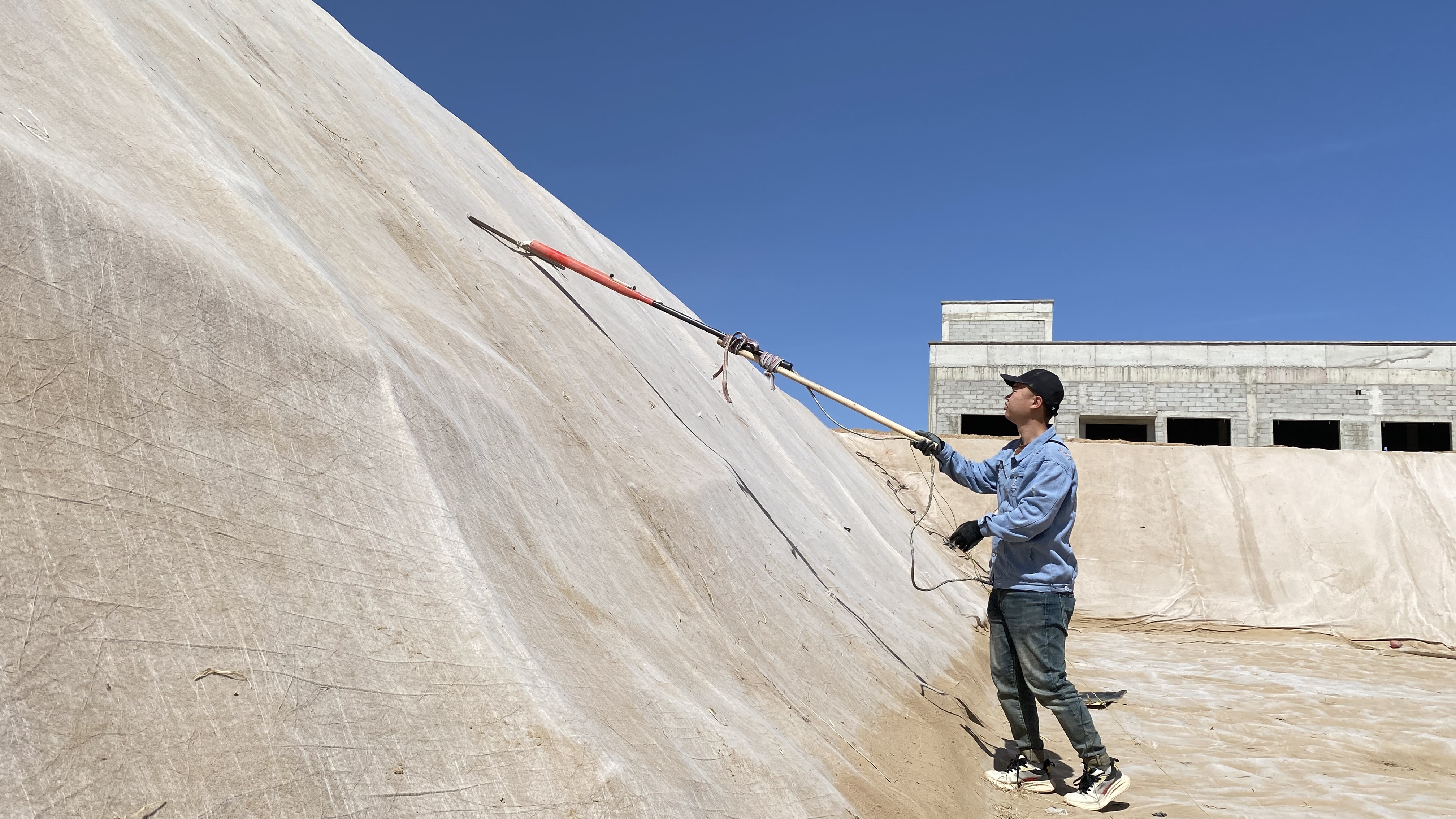 ��ţ�����ϳ���������������������Ŀ