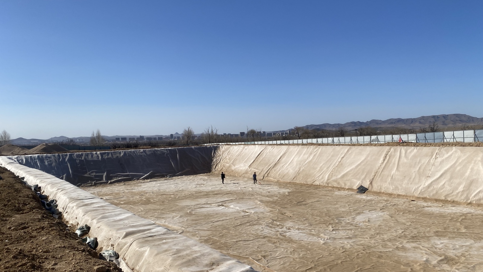 ��ţ�����ϳ���������������������Ŀ