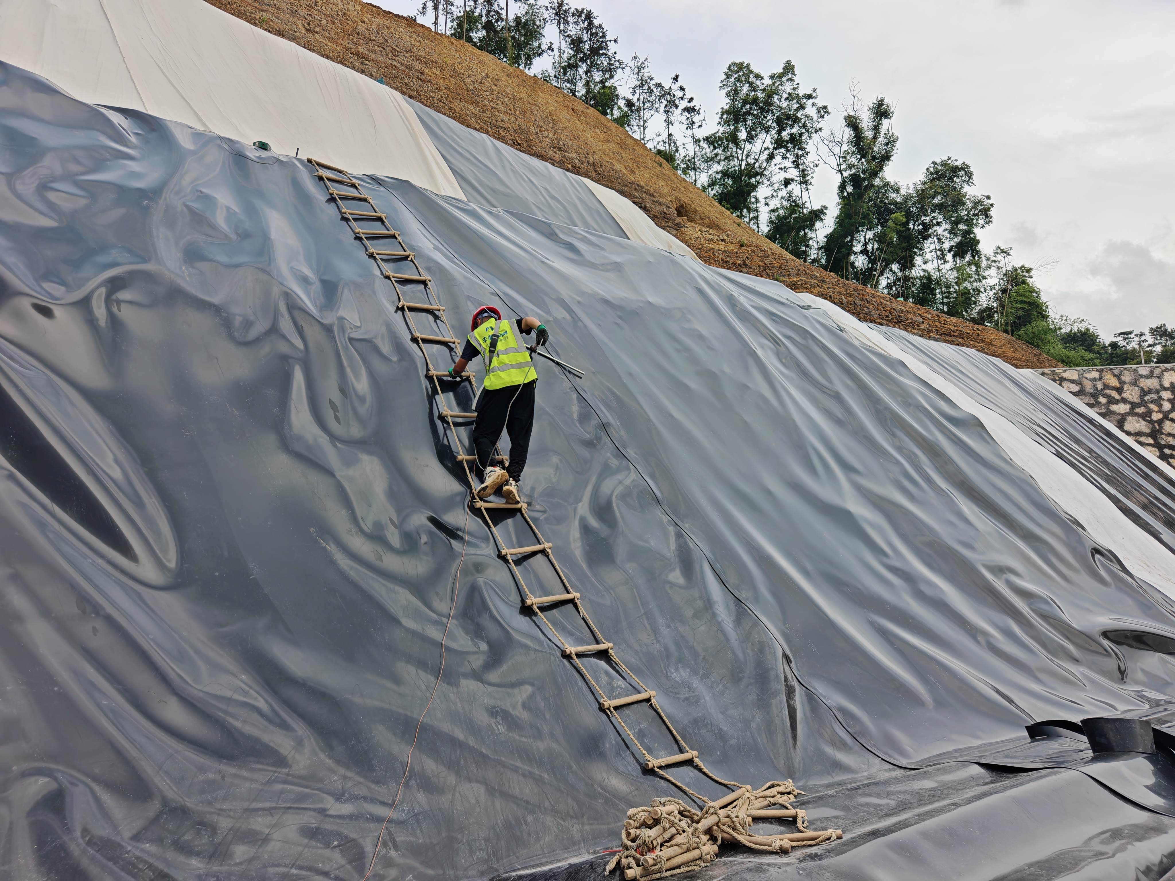 �������������������Ŀ